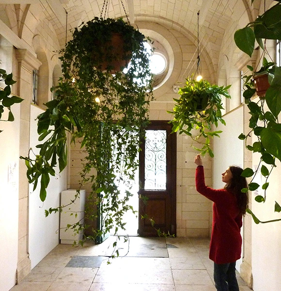 A woman in a red coat stands in a bright hallway, reaching towards large, lush hanging plants. The scene conveys a sense of calm and curiosity.