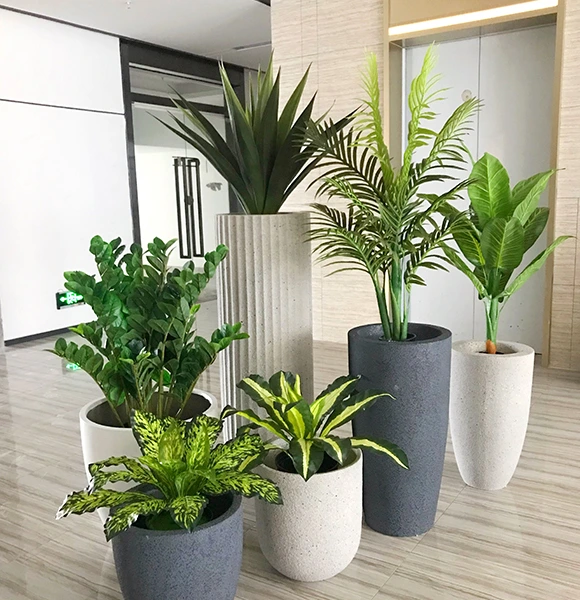 A collection of six lush, green indoor plants in modern gray and white pots. The plants are arranged on a shiny, light-colored floor, creating a fresh and serene atmosphere.