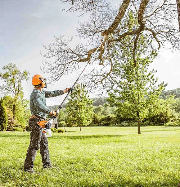 A man wearing safety gear uses a pole saw to trim a tree branch in a sunny, spacious park, with sawdust in the air highlighting the precision and activity of expert tree care.