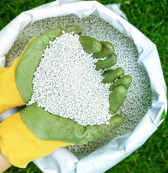 Gloved hands holding white granular fertilizer above an open bag on green grass, illustrating precise application and care in gardening and agriculture.