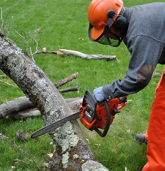 A person in protective gear, including an orange helmet and gloves, operates a chainsaw to cut a fallen tree on green grass, focusing on precision and safety.